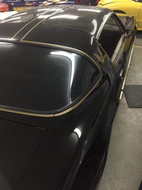 1981 Pontiac Trans Am - photo 13