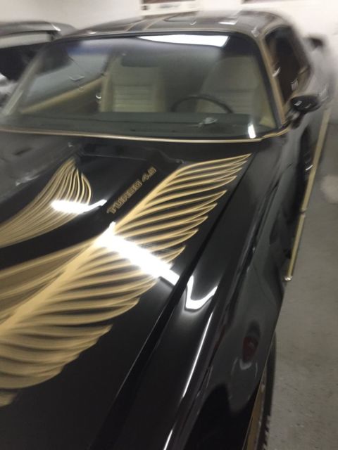 1981 Pontiac Trans Am - photo 3