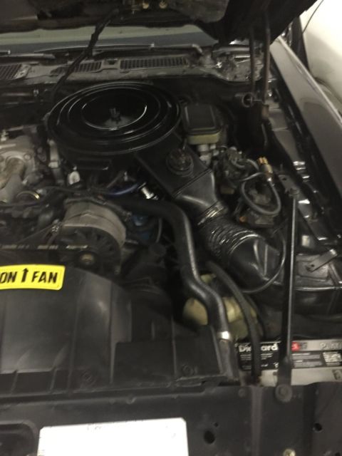 1981 Pontiac Trans Am - photo 4