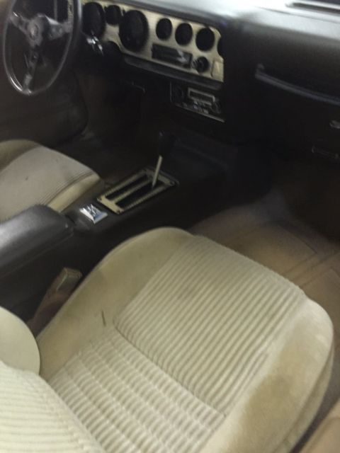 1981 Pontiac Trans Am - photo 7