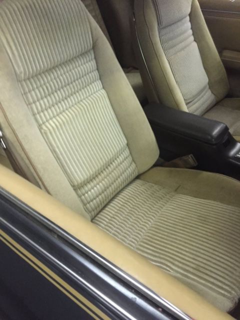 1981 Pontiac Trans Am - photo 8
