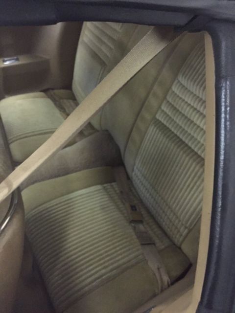 1981 Pontiac Trans Am - photo 9