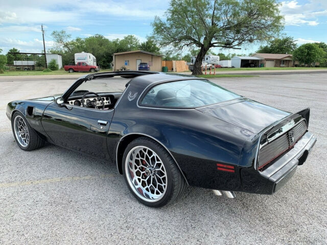 1981 Pontiac Firebird Pontiac Trans AM Custom Y84, WS6, NO RESERVE AUCTION - photo 10