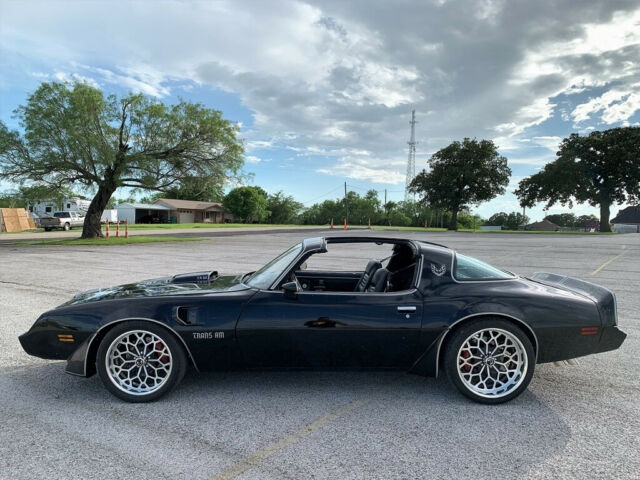 1981 Pontiac Firebird Pontiac Trans AM Custom Y84, WS6, NO RESERVE AUCTION - photo 7