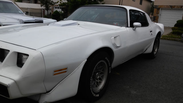 1981 Pontiac Trans Am - photo 3