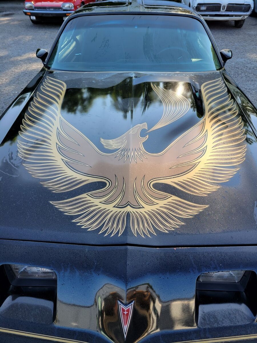 1981 Pontiac Trans Am - photo 2