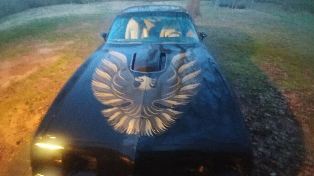 1981 Pontiac Firebird TRANS AM - photo 11