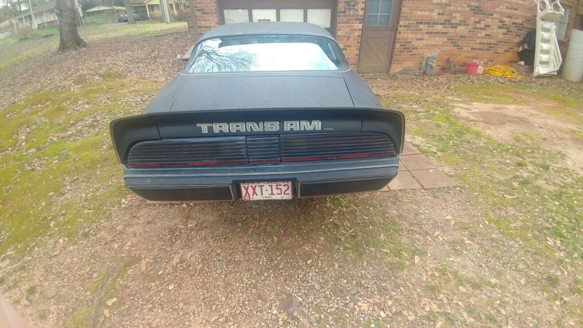 1981 Pontiac Firebird TRANS AM - photo 12