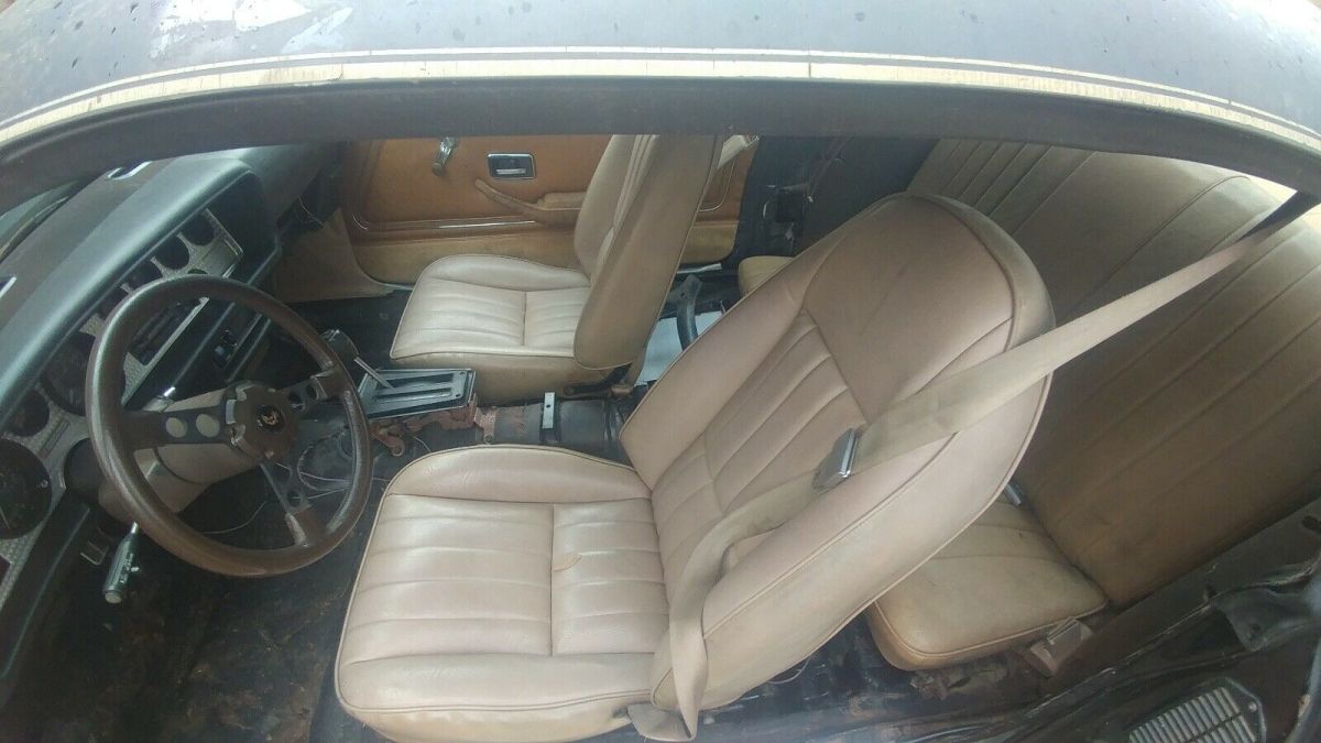 1981 Pontiac Firebird TRANS AM - photo 13