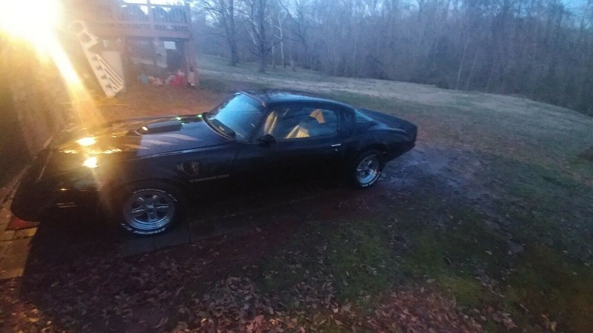 1981 Pontiac Firebird TRANS AM - photo 2