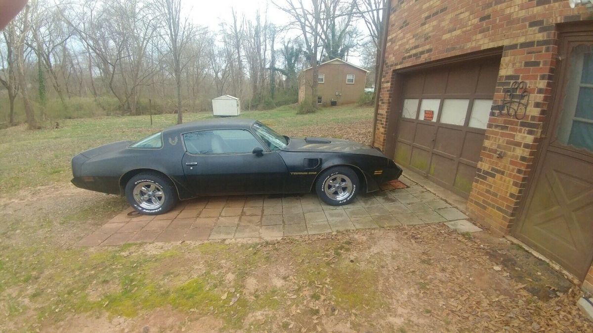 1981 Pontiac Firebird TRANS AM - photo 3
