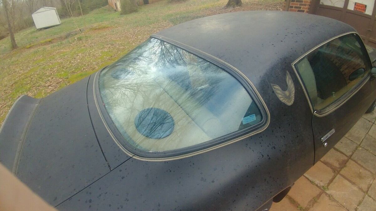 1981 Pontiac Firebird TRANS AM - photo 4