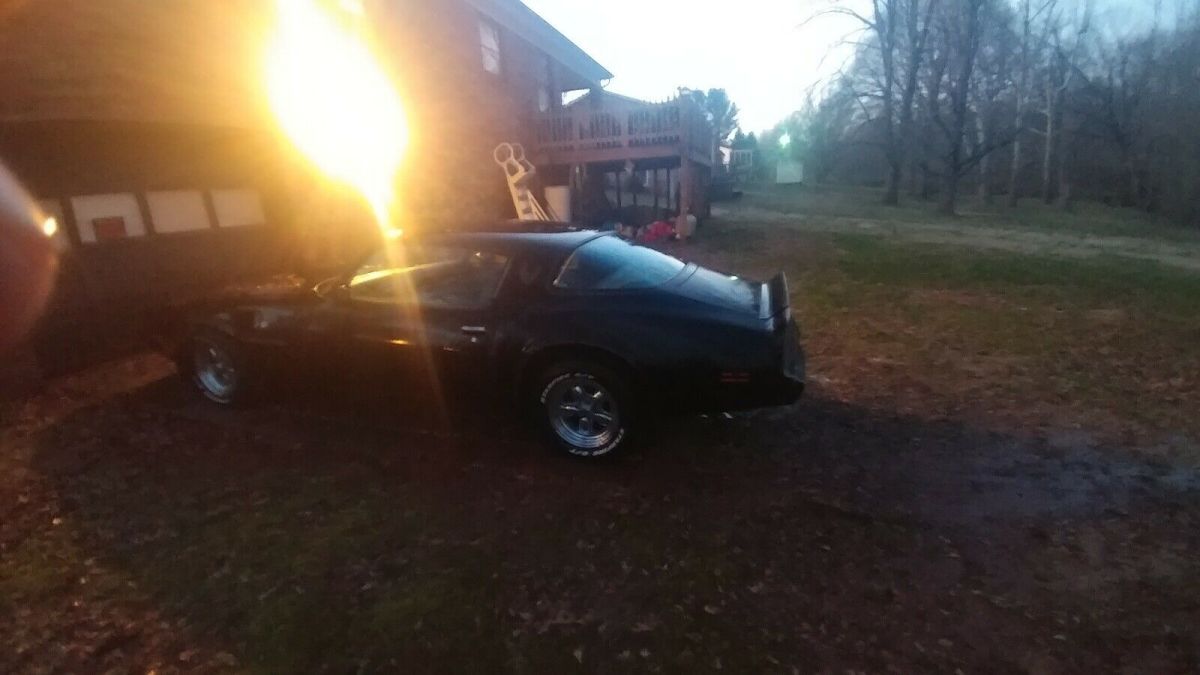 1981 Pontiac Firebird TRANS AM - photo 5