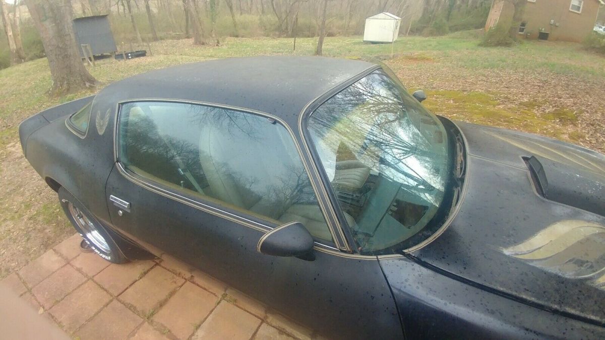 1981 Pontiac Firebird TRANS AM - photo 6