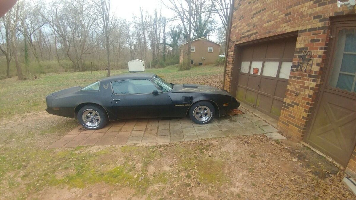 1981 Pontiac Firebird TRANS AM - photo 7