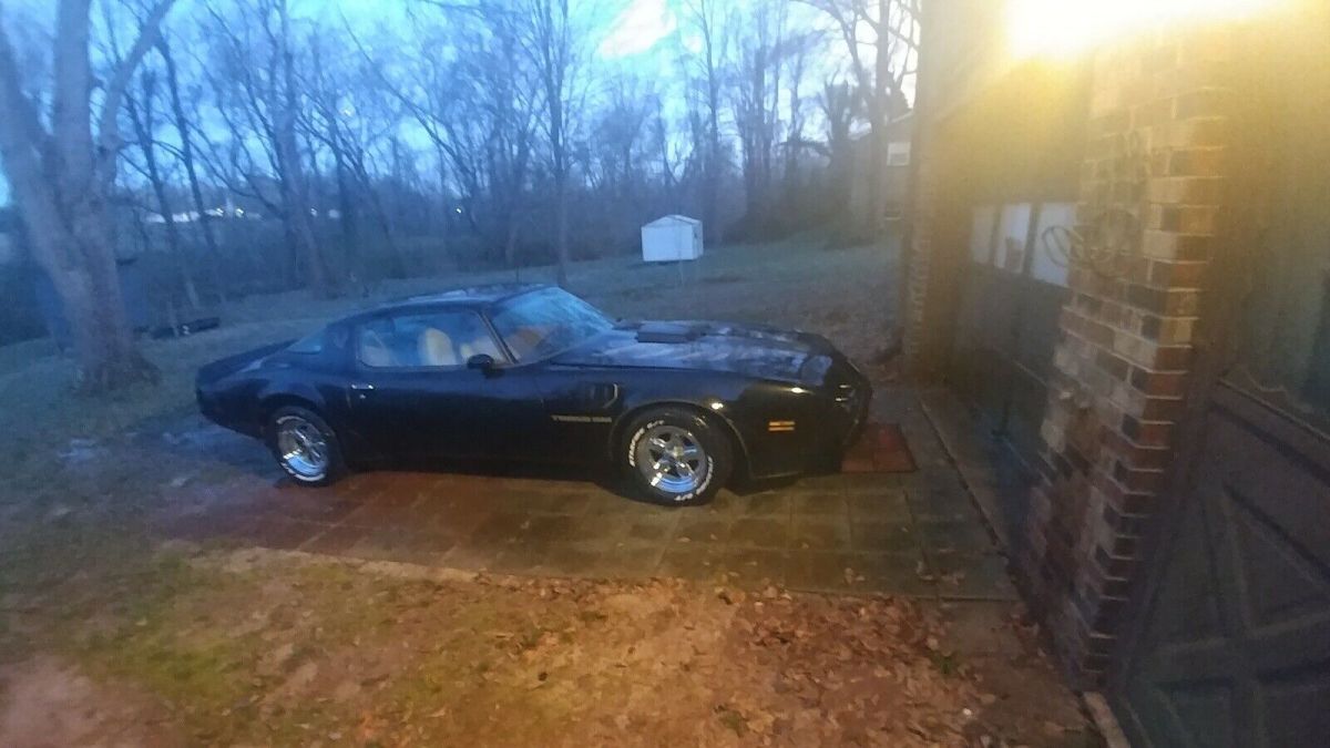 1981 Pontiac Firebird TRANS AM - photo 8