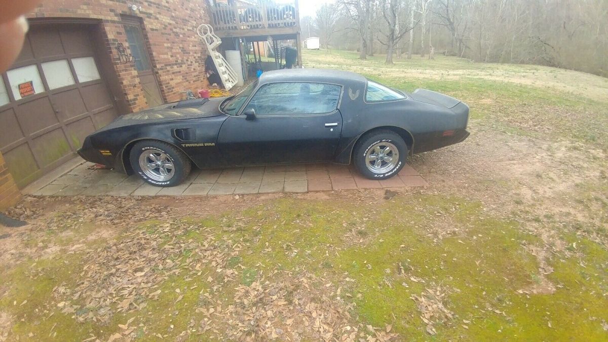 1981 Pontiac Firebird TRANS AM - photo 9