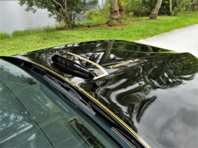 1981 Pontiac Firebird Turbo Formula - photo 10