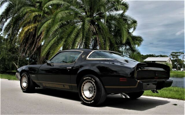 1981 Pontiac Firebird Turbo Formula - photo 3