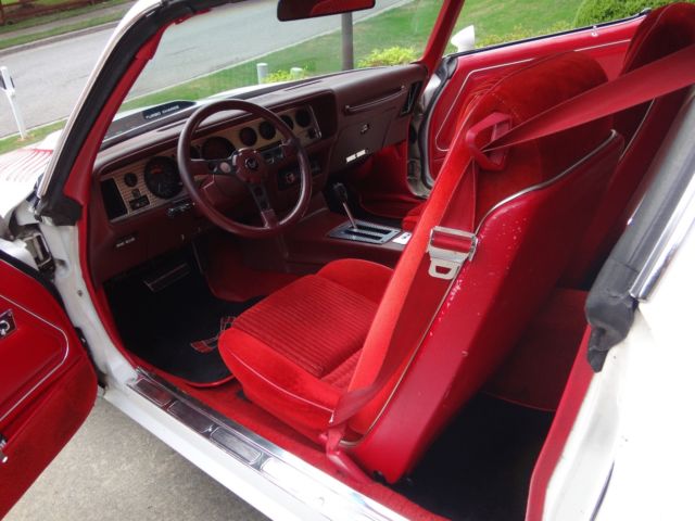1981 Pontiac Trans Am - photo 8