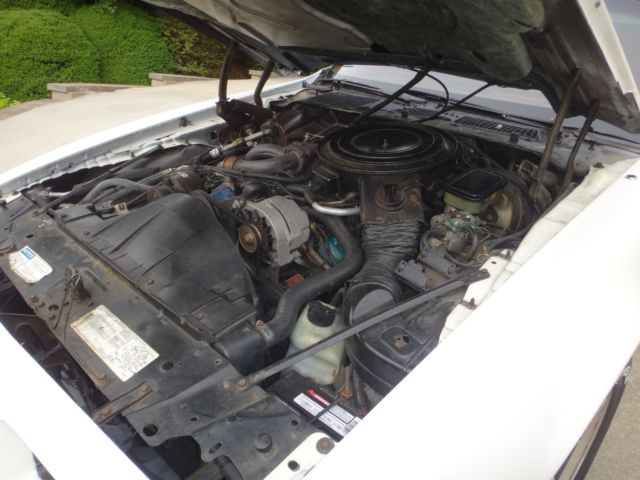 1981 Pontiac Trans Am - photo 9