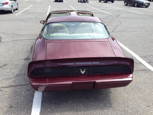 1981 Pontiac Firebird - photo 4