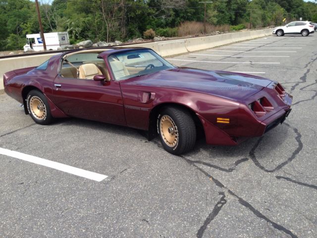 1981 PONTIAC TURBO TRANS AM !!FULLY RESTORED!! GREAT CAR!!NO RESERVE AUCTION!! 1981 Pontiac Firebird Trans Am Coupe 2-Door