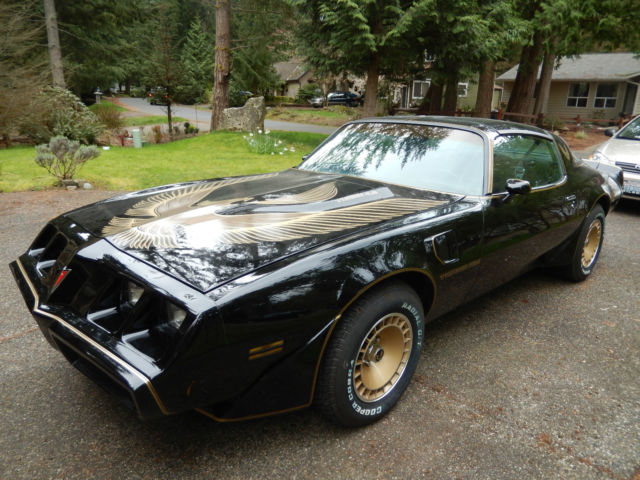 1981 PONTIAC TURBO TRANS AM Y84 TRIPLE BLACK 1981 Pontiac Trans Am 2dr Coupe
