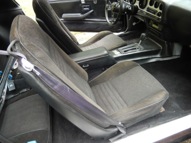 1981 Pontiac Trans Am 2dr Coupe - photo 7