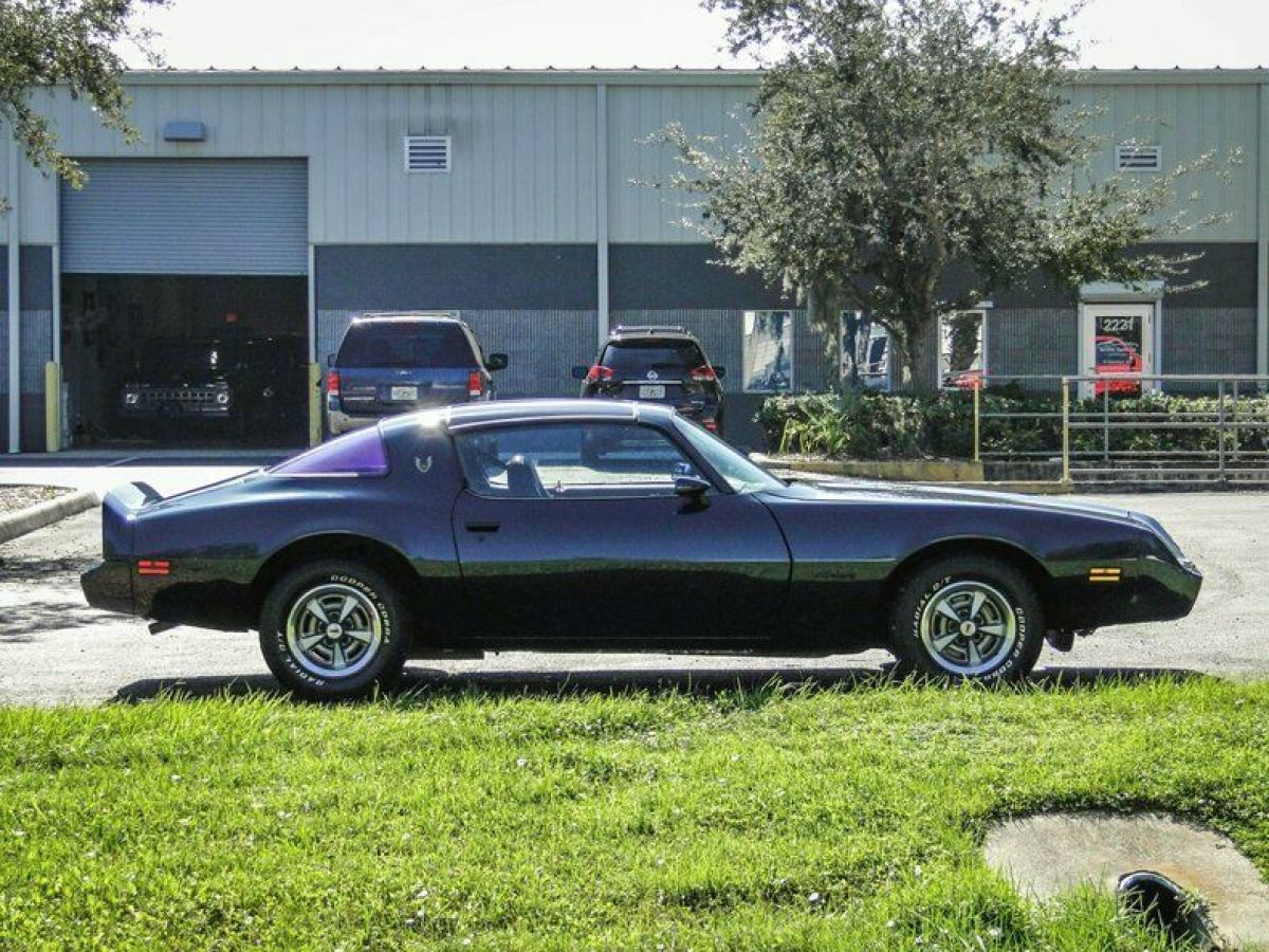 1981 Pontiac Firebird - photo 13