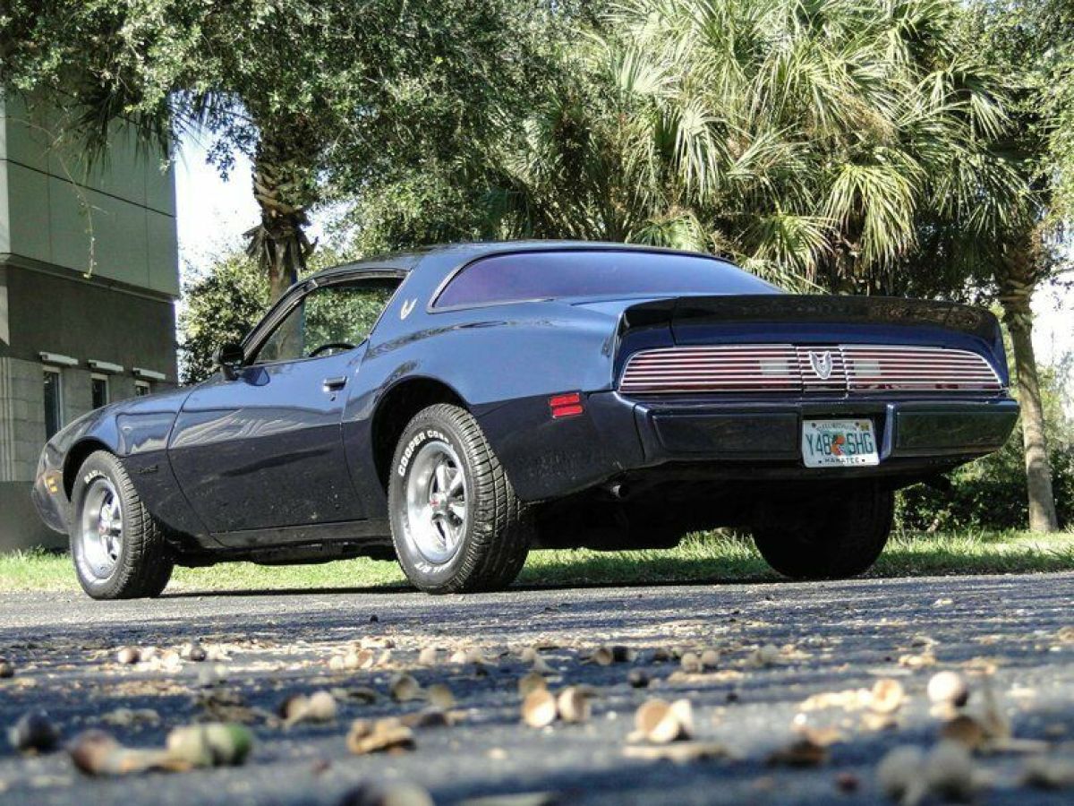 1981 Pontiac Firebird - photo 8