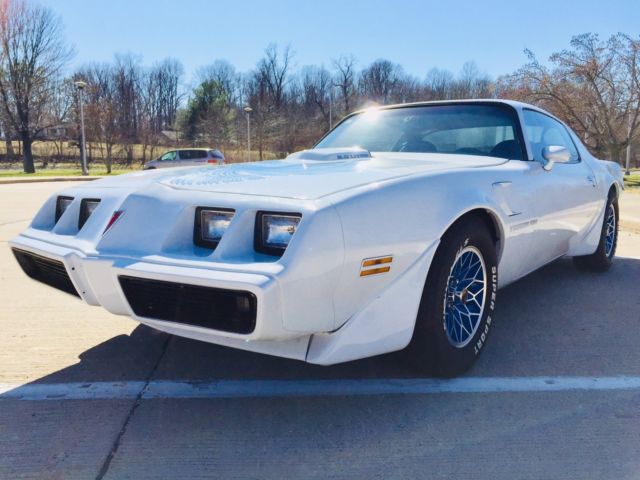 1981 Pontiac Trans Am Firebird