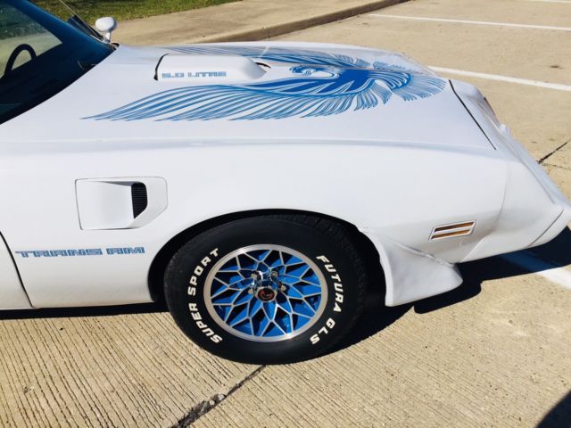 1981 Pontiac Trans Am Firebird - photo 11