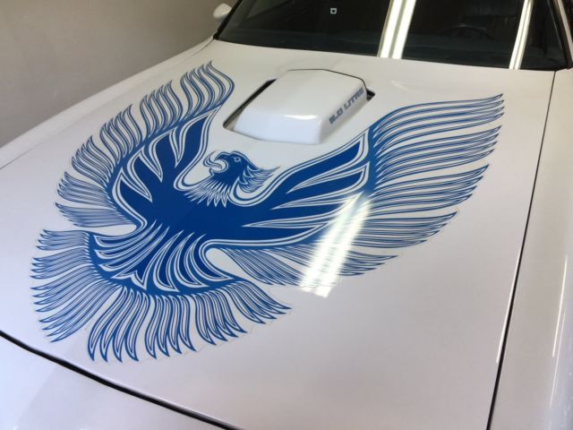 1981 Pontiac Trans Am Firebird - photo 4