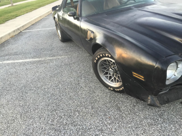 1981 Pontiac Trans Am - photo 6