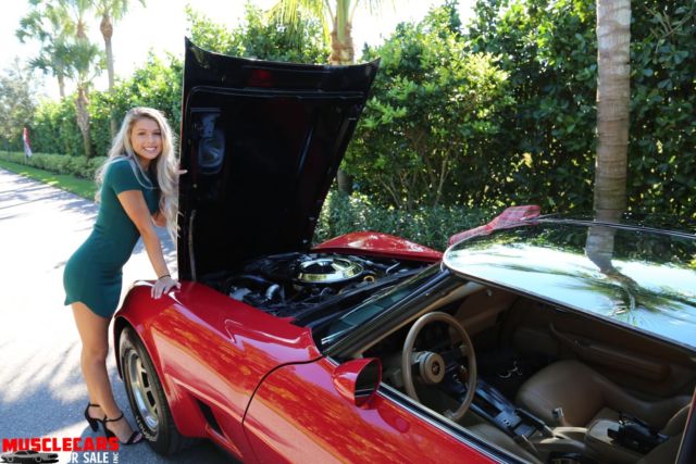 1981 Chevrolet Corvette T TOP - photo 7