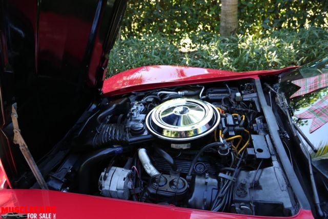1981 Chevrolet Corvette T TOP - photo 8