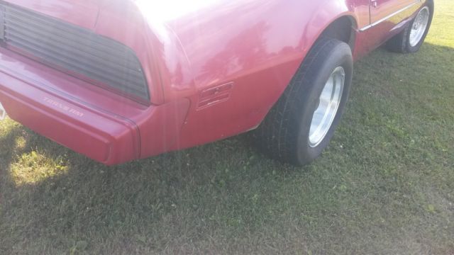 1981 Pontiac Trans Am - photo 10