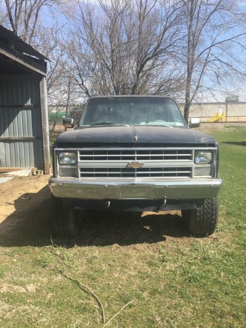 1981 Chevrolet Other Pickups - photo 2