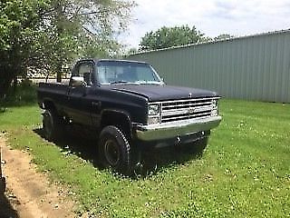 1981 Chevrolet Other Pickups - photo 3