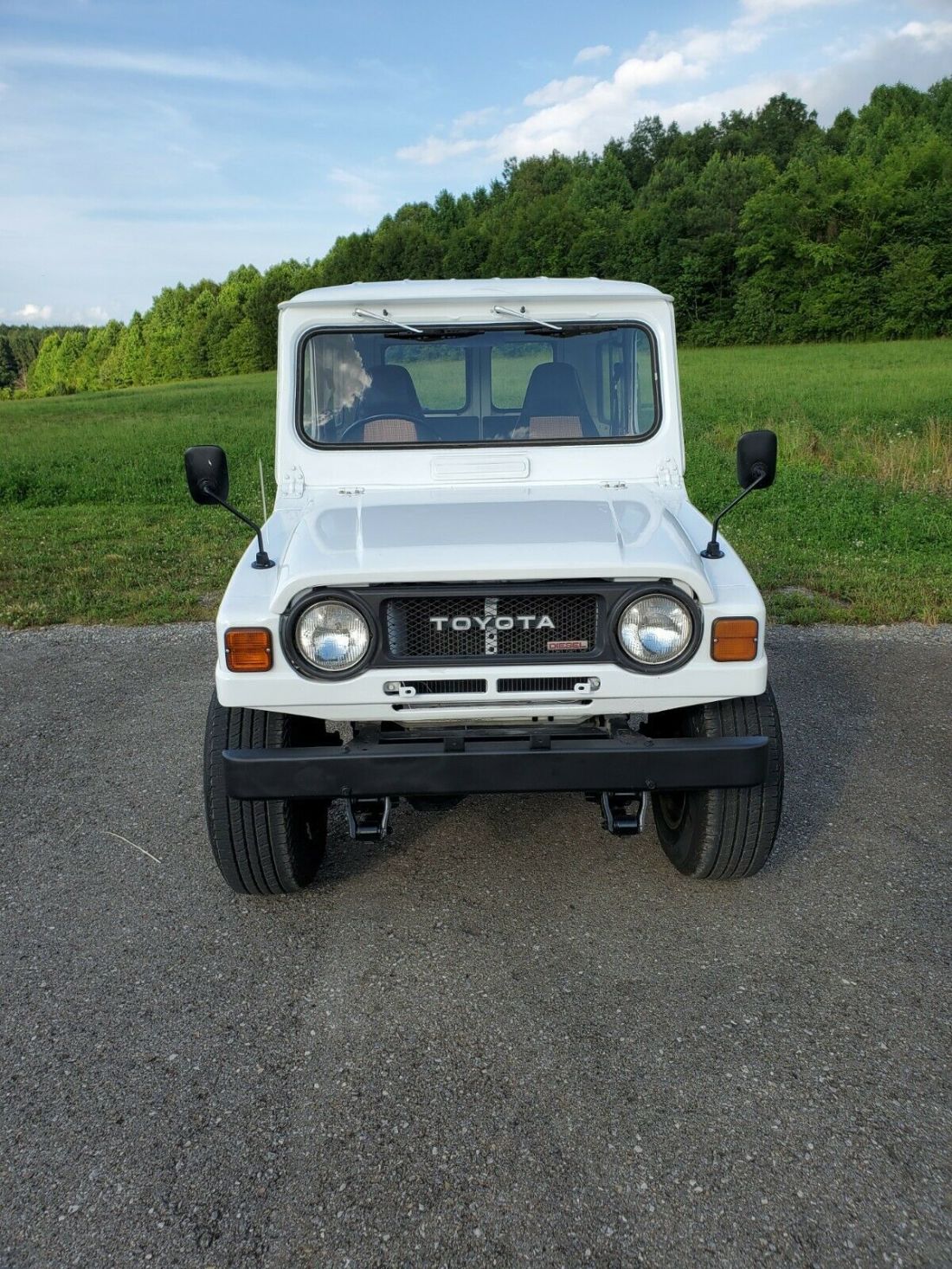1981 Toyota Land Cruiser DELUXE - photo 2