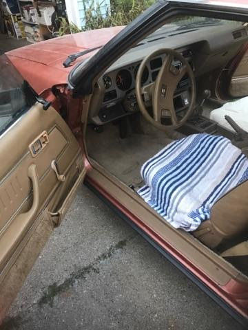 1981 Toyota Celica - photo 9