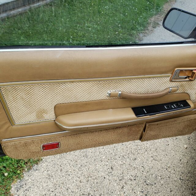 1981 Toyota Celica GTA - photo 5
