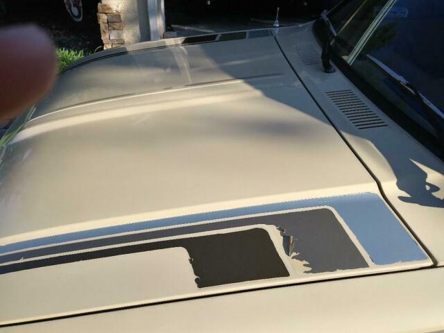 1981 Toyota Pickup DLX - photo 11