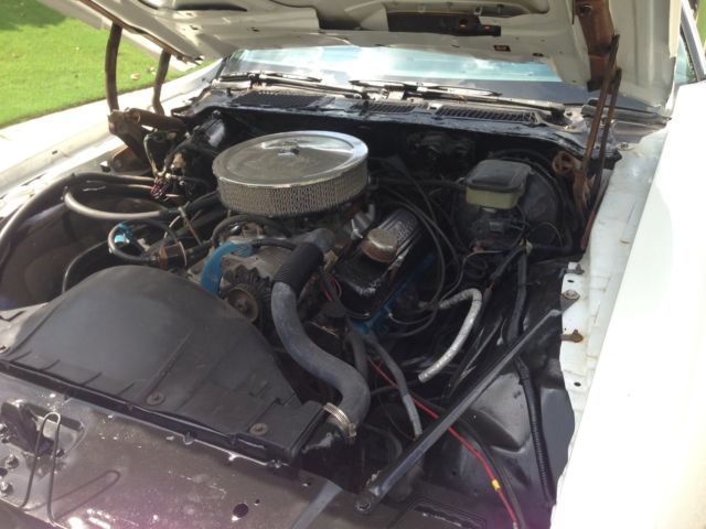 1981 Pontiac Trans Am - photo 11