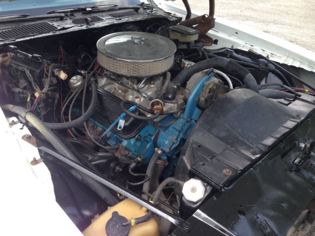 1981 Pontiac Trans Am - photo 12