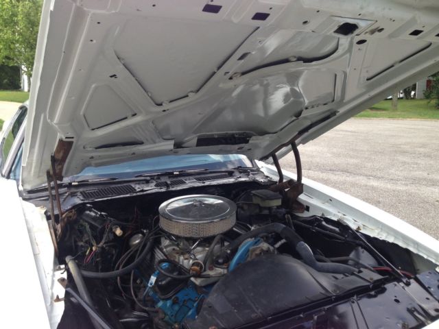 1981 Pontiac Trans Am - photo 13