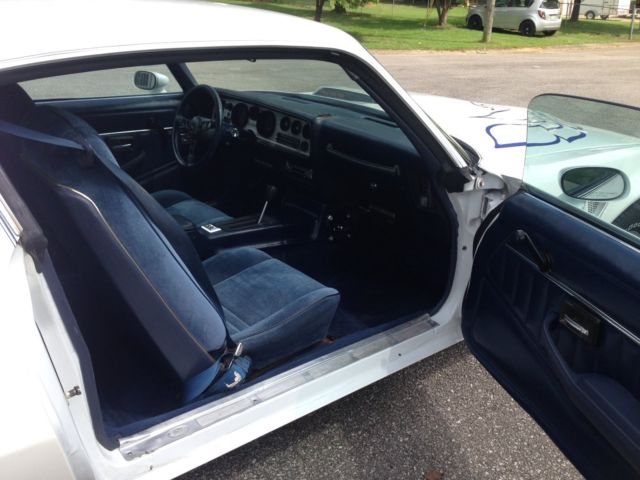 1981 Pontiac Trans Am - photo 5