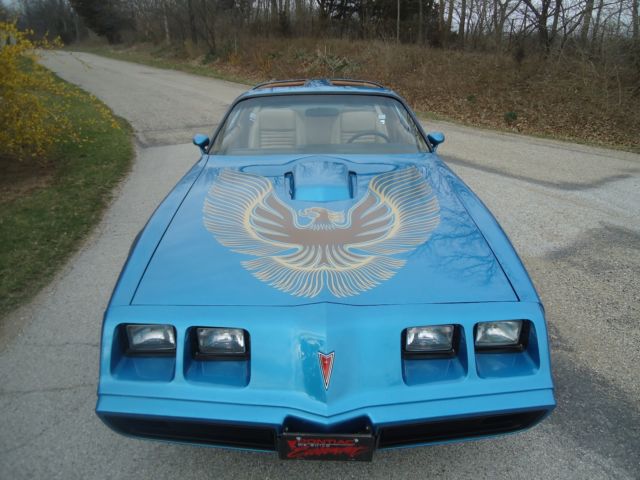 1981 TRANS AM -ABSOLUTELY GORGEOUS - SHOW ROOM LIKE NEW CONDITION - 400 ENGINE 1981 Pontiac Trans Am BLUE