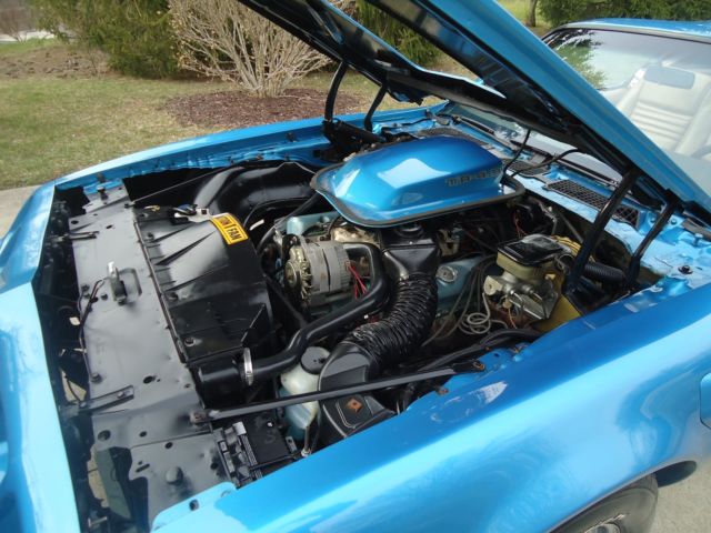 1981 Pontiac Trans Am BLUE - photo 10